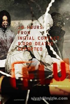 Flu