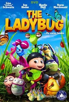 The Ladybug