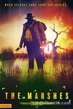 The Marshes