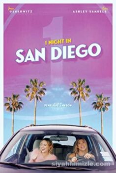 1 Night in San Diego