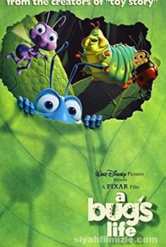 A Bug’s Life