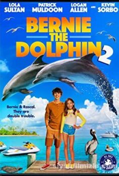 Bernie the Dolphin 2