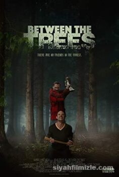 Between the Trees