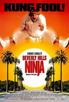 Beverly Hills Ninja