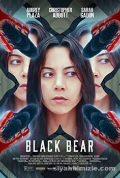 Black Bear