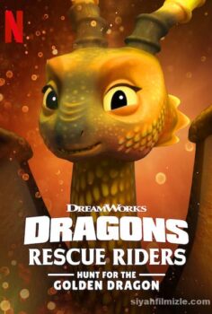 Dragons: Rescue Riders: Hunt for the Golden Dragon