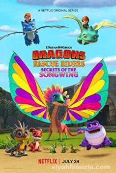 Dragons: Rescue Riders: Secrets of the Songwing
