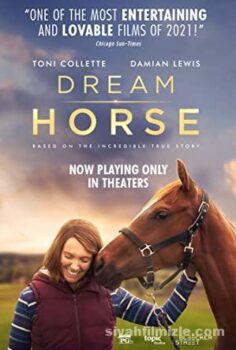 Dream Horse