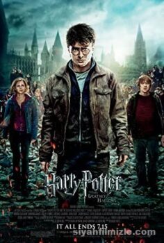 Harry Potter and the Deathly Hallows: Part 2