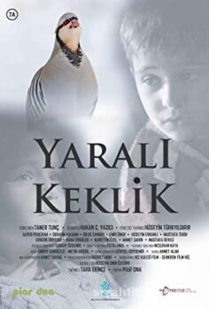 Injured Partridge