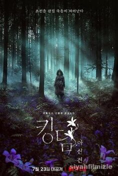 Kingdom: Ashin of the North