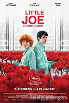Little Joe