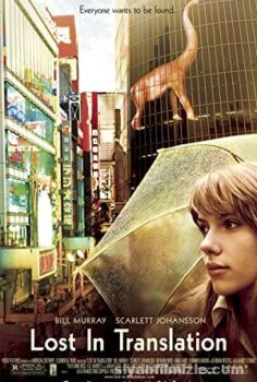 Lost in Translation