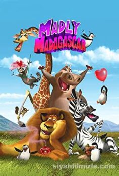 Madly Madagascar