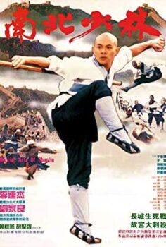 Nan bei Shao Lin