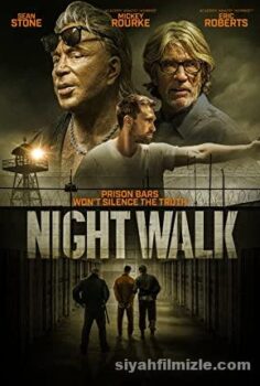 Night Walk