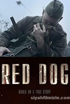 Red Dog