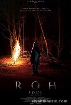 Roh