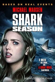 Shark Season