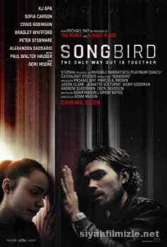Songbird