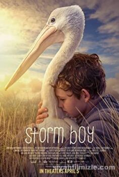 Storm Boy