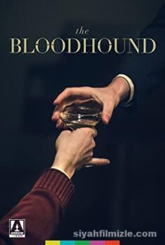 The Bloodhound