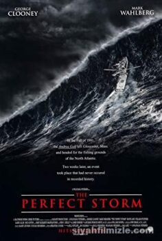 The Perfect Storm