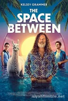 The Space Between