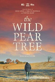 The Wild Pear Tree