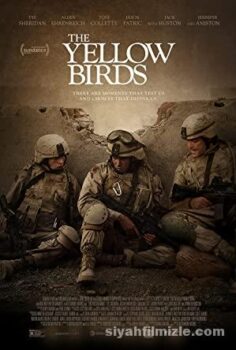 The Yellow Birds