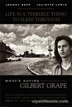 What’s Eating Gilbert Grape