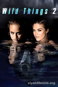 Wild Things 2