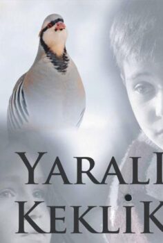 Yarali Keklik: Injured Partridge
