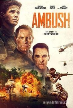 Ambush