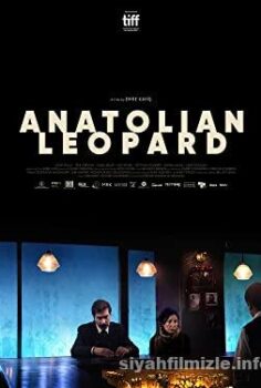 Anadolu Leopari