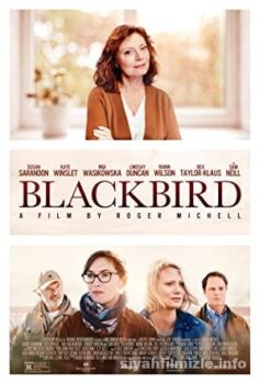 Blackbird