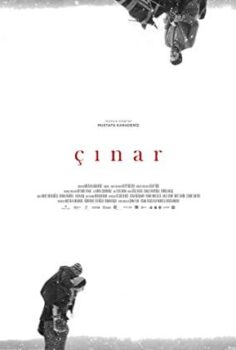 Çinar