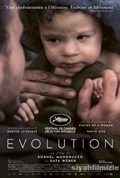 Evolution