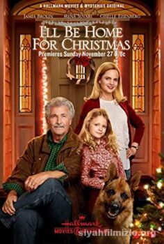 I’ll Be Home for Christmas