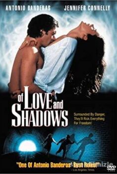 Of Love and Shadows