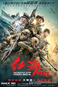 Operation Red Sea
