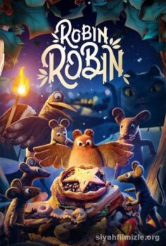 Robin Robin