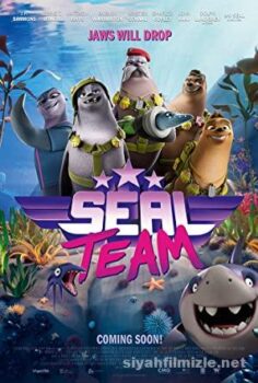 Seal Team
