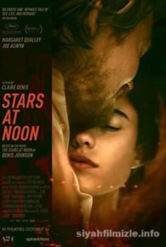 Stars at Noon