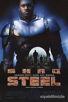 Steel
