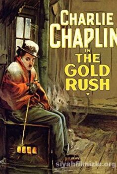 The Gold Rush