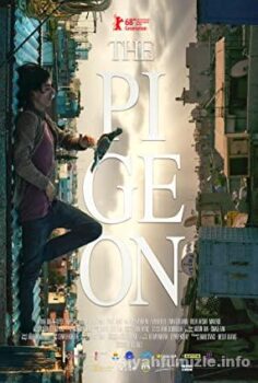 The Pigeon