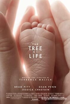 The Tree of Life