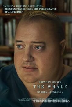 The Whale