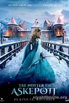 Three Wishes for Cinderella